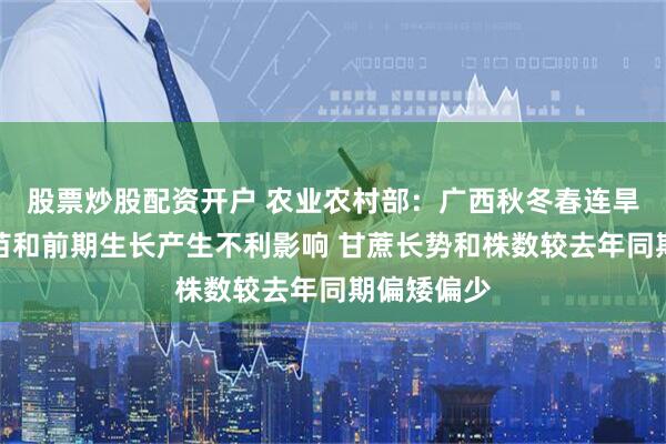 股票炒股配资开户 农业农村部：广西秋冬春连旱对甘蔗出苗和前期生长产生不利影响 甘蔗长势和株数较去年同期偏矮偏少